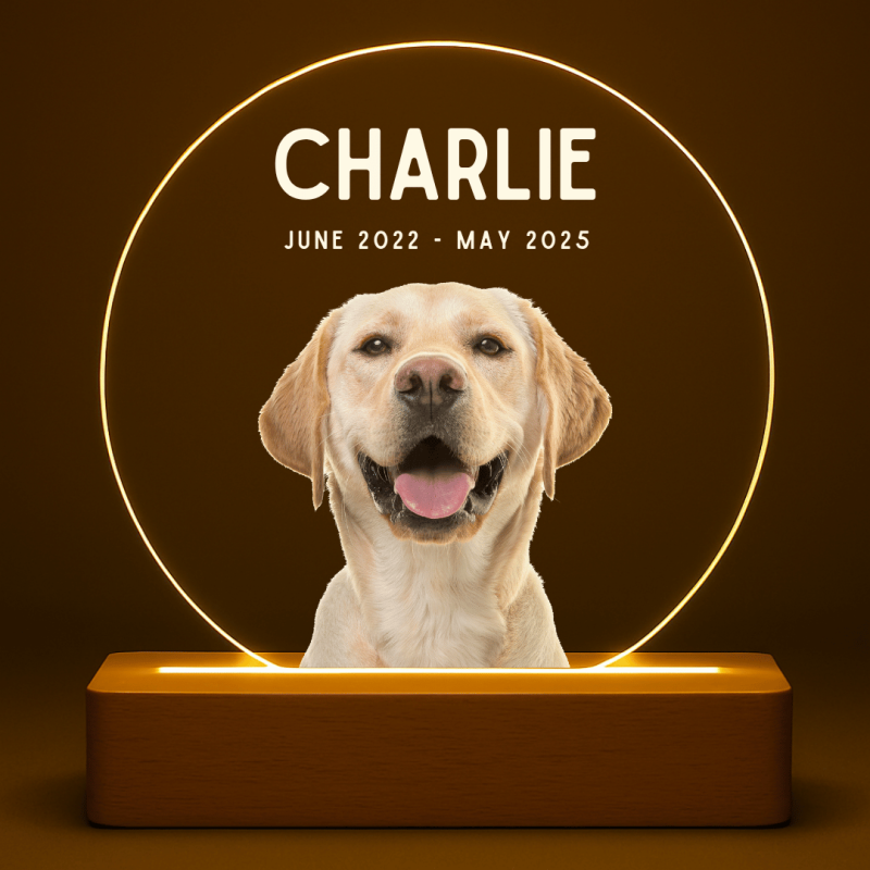 Cadre photo commémoratif lumineux cœur personnalisé – Plaque en acrylique ronde éclairage LED avec nom & dates gravés