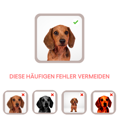 Für ein klares und scharfes ergebnis