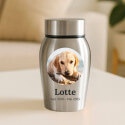 Personalisierte Edelstahl-Hundeurne mit Foto im Halo-Rahmen, Namen & Daten