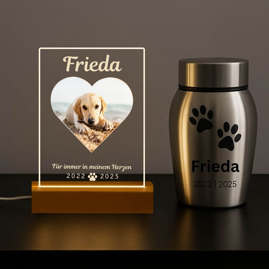Personalisierte Gedenkleuchte mit Foto – Rechteckige LED-Gedenktafel für Hunde aus Acryl mit graviertem Namen & Daten